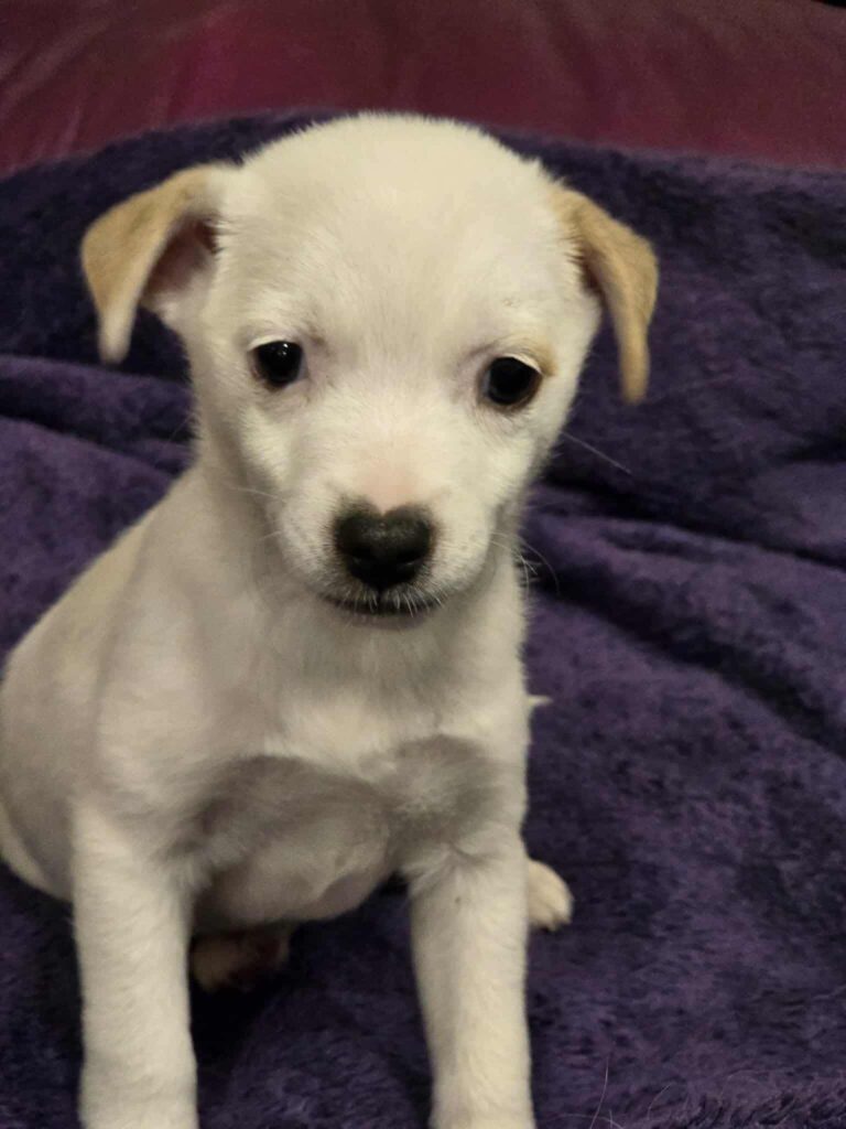 611144512 1271983081626170 7974342875293477213 n