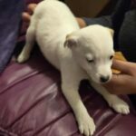 611170305 1271983148292830 2093383421232181881 n