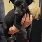 611992886 1274168478074297 2252668407065331952 n