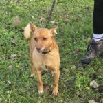 612228107 1276481191176359 2137083669954909793 n