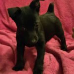 612341262 1274168354740976 4708954857366444786 n