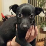 612536912 1274168328074312 7070582772360195091 n