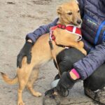 612620520 1274852951339183 1404307278160484668 n