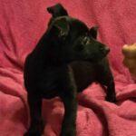 612770370 1274168441407634 4949668769579993384 n