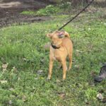 613185088 1276482334509578 4807961611088729543 n