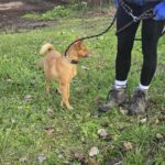 613910795 1276482521176226 6733701495413213959 n