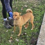 613919040 1276482551176223 4104584712524088076 n