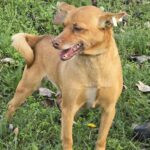 614189351 1276482541176224 5235724889361933391 n