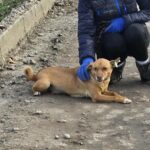 614291612 1276482561176222 6153939032049620561 n