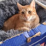 615074747 1279421250882353 8307294124564380860 n