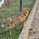 615082358 1276482514509560 1830482119297363893 n