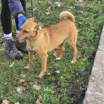 615111244 1276481434509668 9127361925661327041 n