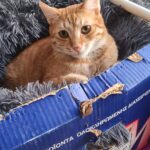 615148444 1279421347549010 5309450623492861679 n