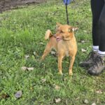 615156336 1276482571176221 8287269975511092147 n