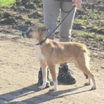 615231141 1280141137477031 8683257666359391235 n