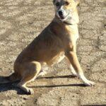 615232964 1280141074143704 7200563511370037066 n