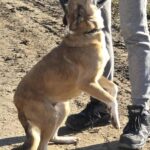 615286346 1280141177477027 423146340382050138 n