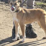 615343133 1280141034143708 4058251575918961286 n