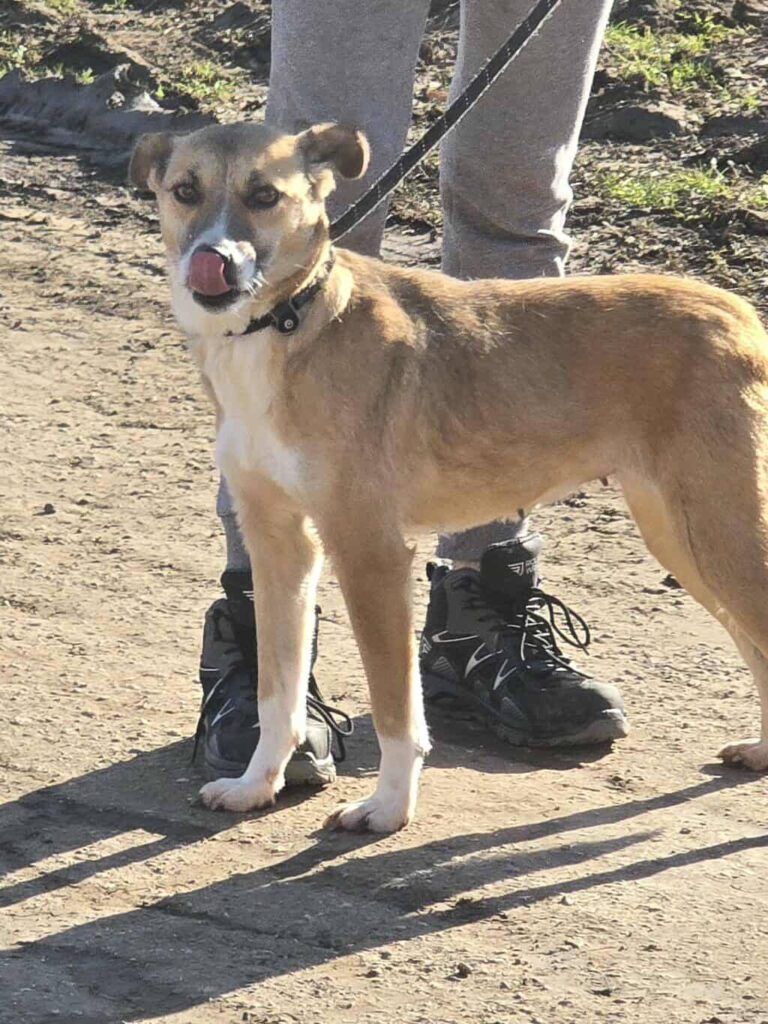 615343133 1280141034143708 4058251575918961286 n