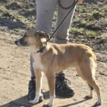 615362070 1280141220810356 3341910959574560500 n