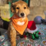 615408632 1279939904163821 796814828534161678 n