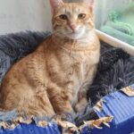 615416493 1279421210882357 5117138435128832455 n