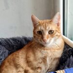 615480863 1279421284215683 282219439827944189 n e1769115730683