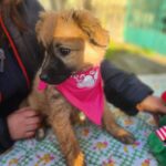 615738469 1280872720737206 8535526708135628265 n