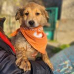 615801600 1279939974163814 6563902746870916734 n