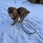 615816284 1283713300453148 4377930737709808271 n 1