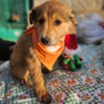 615819136 1279939940830484 4175701580681357364 n