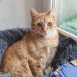 615844288 1279421314215680 441568951530951951 n