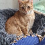 615890922 1279421380882340 3213700933114715562 n