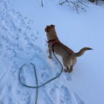 615947126 1283713217119823 9021089133406725339 n 1