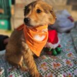 616024838 1279940057497139 488477529398641798 n