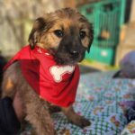 616032202 1283077883850023 5178723740354315724 n