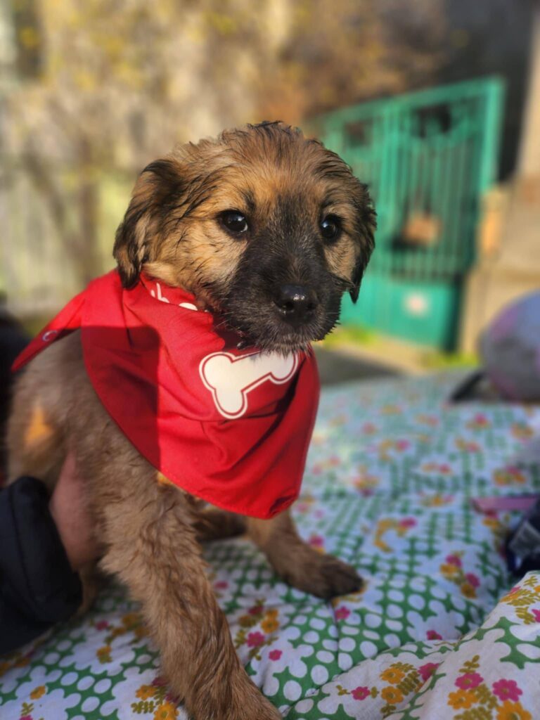 616032202 1283077883850023 5178723740354315724 n