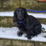 616077922 1284915980332880 3699708007492438848 n 1