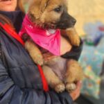 616110257 1280877600736718 788301159518699038 n