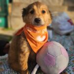 616113459 1279940024163809 8483790335378526699 n