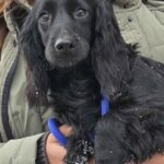 616118355 1284916050332873 3418515675071510353 n