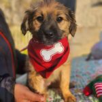 616138251 1283077790516699 1603599604797129379 n