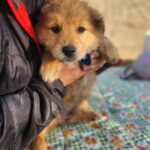 616199202 1284756977015447 2600656407328570839 n