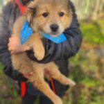 616254385 1284757060348772 8736374570632038147 n