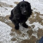 616561295 1284916270332851 8451275767113677367 n