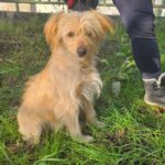 616622157 1285563210268157 145741037354551605 n