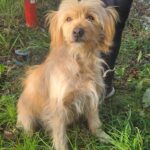 616850561 1285563036934841 2628419084387685536 n