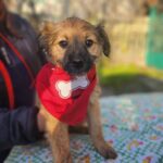 616987150 1283077937183351 7378264549570094639 n