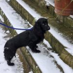 617025348 1284916093666202 6115884057703785265 n