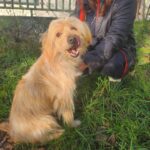 617103490 1285563116934833 6306503194617174079 n